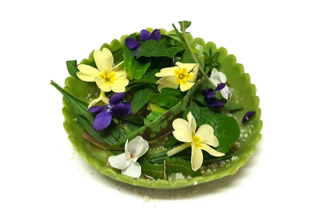 Flower, Plant, Flowering plant, Floristry, Violet, Leaf, Petal, Bouquet, Viola, Primula, 