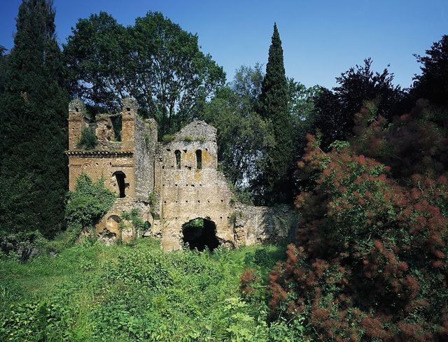 Vegetation, Ruins, Natural landscape, Tree, Castle, Château, Wall, History, Building, Grass, 