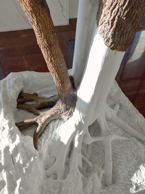 Wood, Trunk, Natural material, Freezing, Driftwood, 