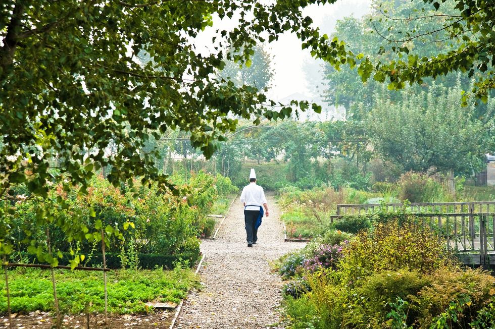 People in nature, Nature, Natural landscape, Photograph, Tree, Walking, Botany, Garden, Plant, Botanical garden, 