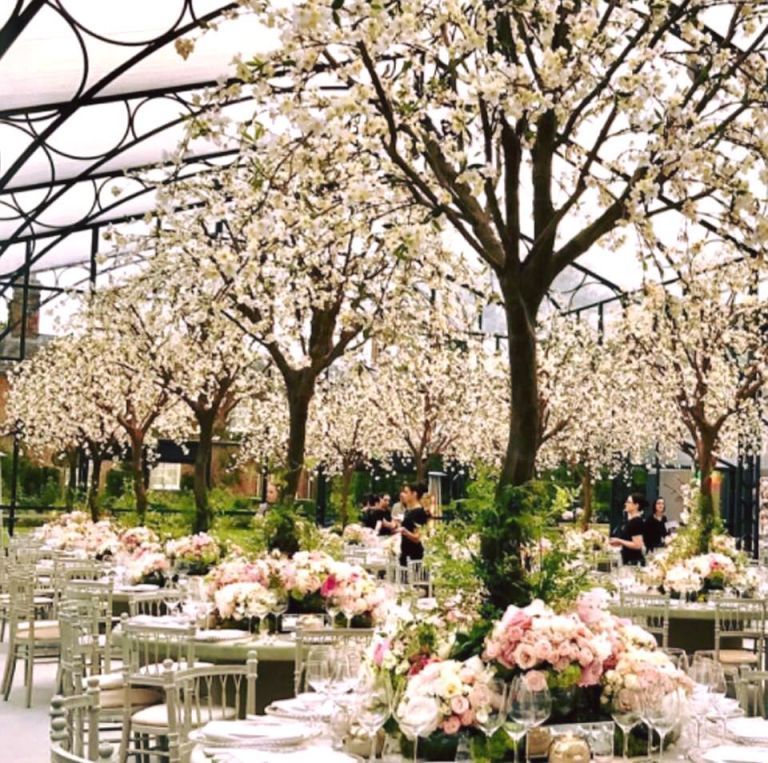 Flower, Spring, Branch, Plant, Tree, Centrepiece, Floral design, Flower Arranging, Wedding reception, Floristry, 