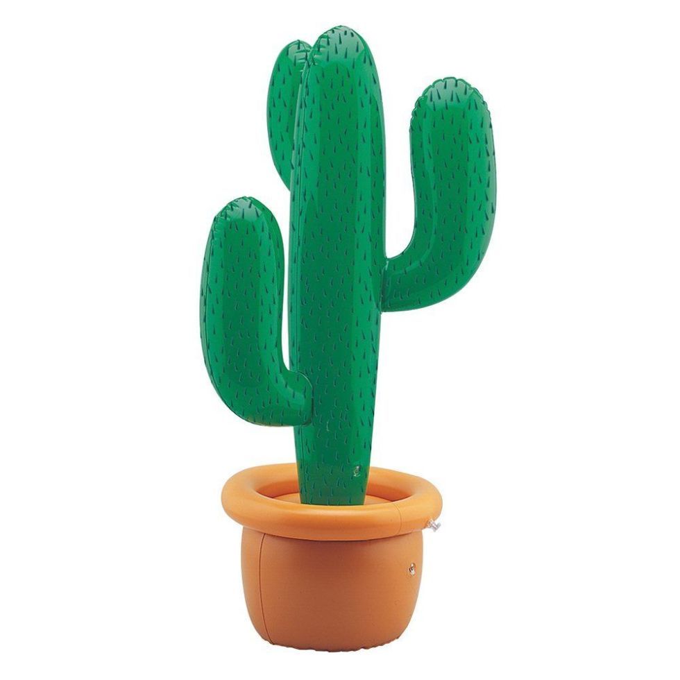 Green, Cactus, Graphics, 