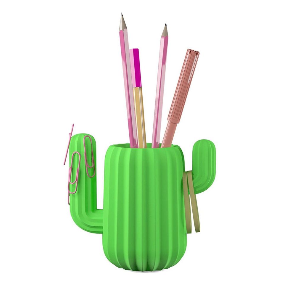 Green, Pencil, Font, Pencil case, Cactus, Plant, Stationery, 