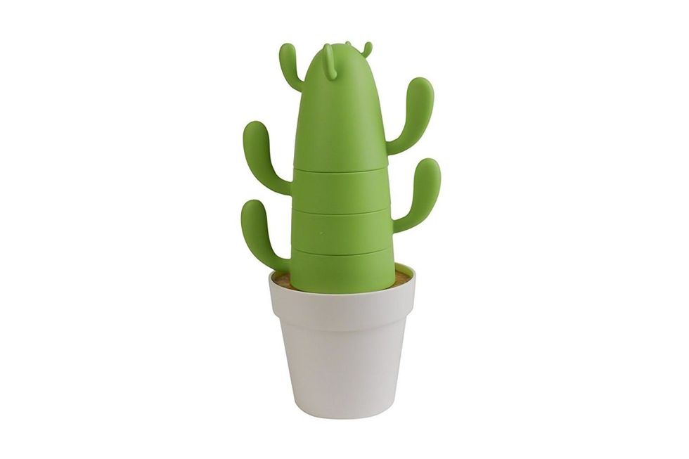 Cactus, Green, Flowerpot, Plant, Houseplant, Succulent plant, Caryophyllales, Finger, Flower, 