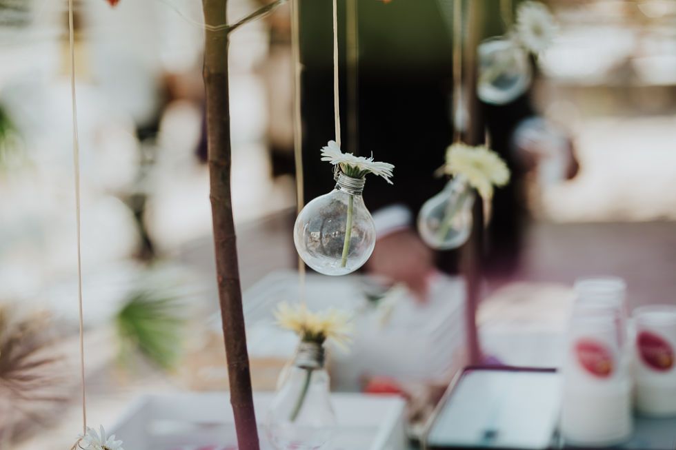 Photograph, Tree, Flower, Glass, Plant, Still life, 