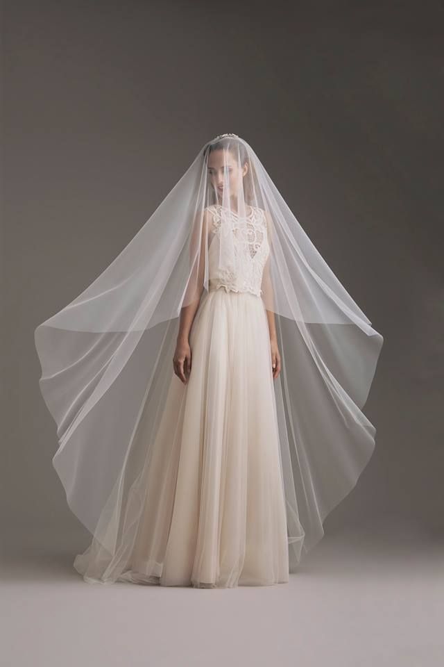 Veil, Bridal accessory, Bridal veil, Clothing, Dress, Wedding dress, Gown, Bridal clothing, Bridal party dress, Bride, 