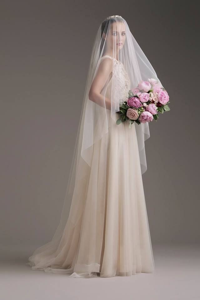 Wedding dress, Gown, Bride, Bridal accessory, Dress, Veil, Bridal veil, Clothing, Bridal party dress, Bridal clothing, 