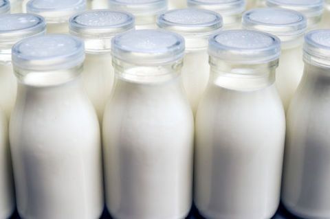 Milk, Raw milk, Product, Dairy, Grain milk, Lactose, Drink, Almond milk, Plant milk, Hemp milk, 