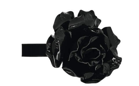 Black, Fashion accessory, Plant, Black-and-white, Hair accessory, Flower, 