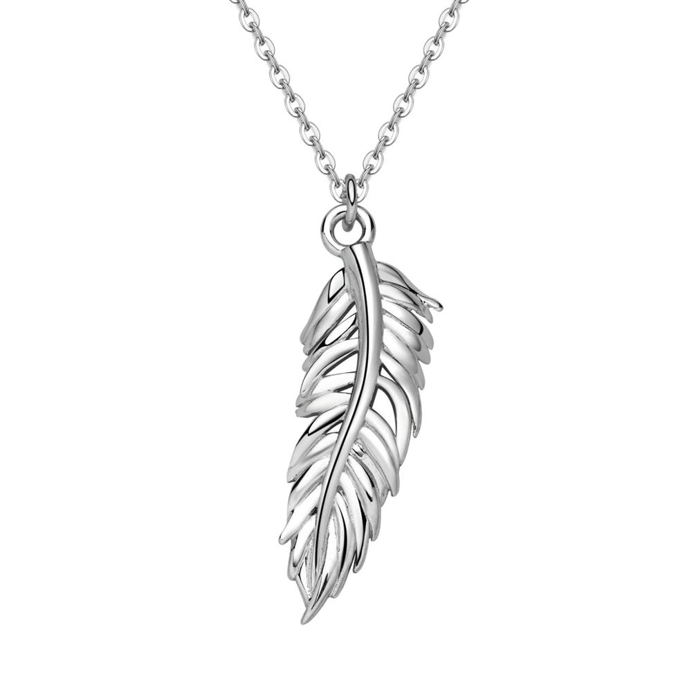 Jewellery, Fashion accessory, Pendant, Leaf, Necklace, Body jewelry, Feather, Silver, Chain, Metal, 