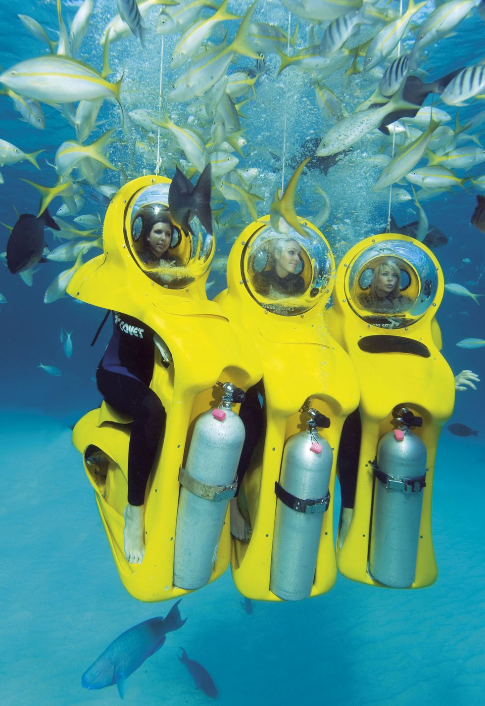 Diving equipment, Underwater, Yellow, Water, Underwater diving, Recreation, Illustration, Marine biology, Underwater sports, Art, 