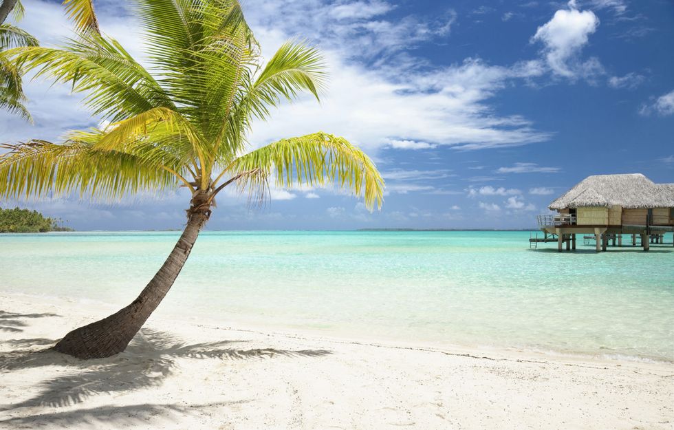 Tropics, Tree, Sky, Palm tree, Caribbean, Vacation, Beach, Arecales, Sea, Ocean, 
