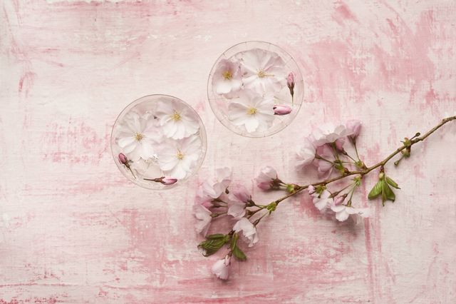 Pink, Still life photography, Flower, Still life, Watercolor paint, Plant, Blossom, Branch, Painting, Floral design, 
