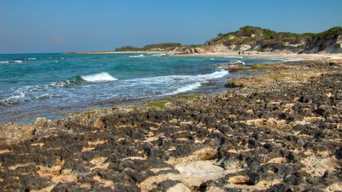 Torre Guaceto Guida Alla Riserva Naturale Pugliese