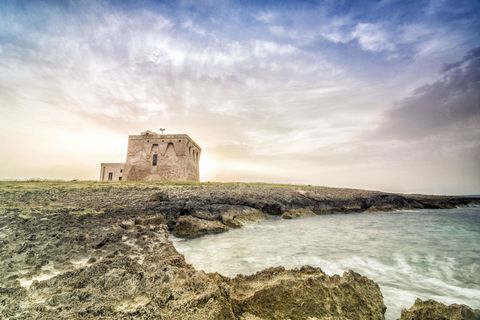 Torre Guaceto Guida Alla Riserva Naturale Pugliese