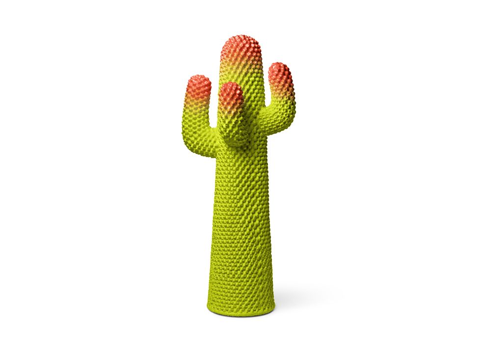 Green, Cactus, Plant, Saguaro, Finger, Plant stem, Flower, 