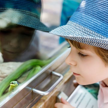 bambino allo zoo