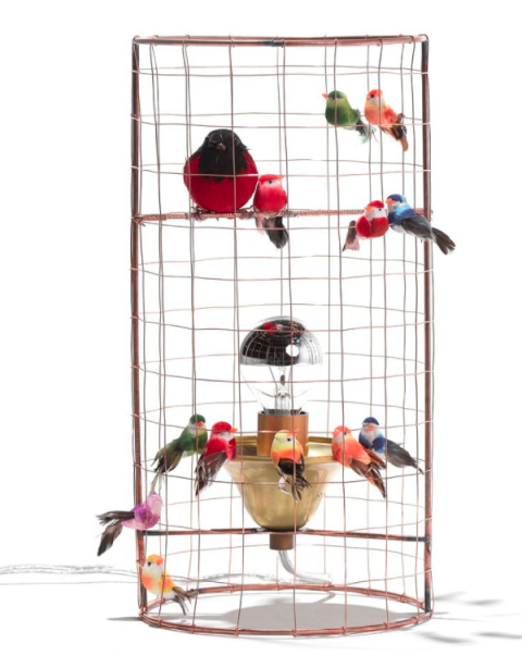 Cage, Bird supply, Pet supply, Bird, Perching bird, 