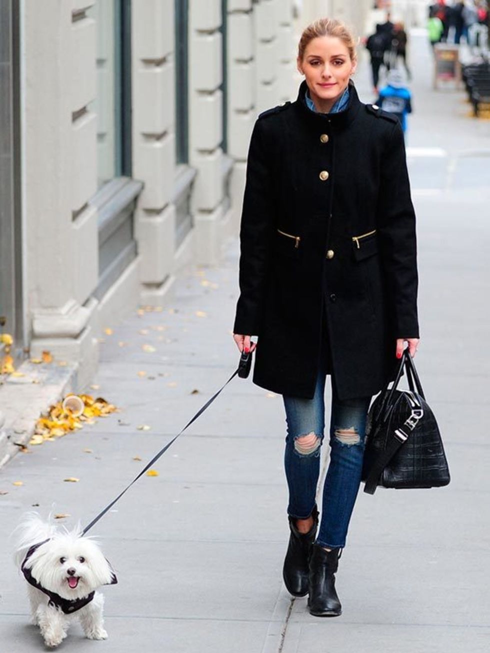 <p>Yes, the ripped jeans and military coat make for a winning winter outfit - but the real star of the show, here? That'll be Olivia's Maltese Terrier, Mr. Butler.</p>