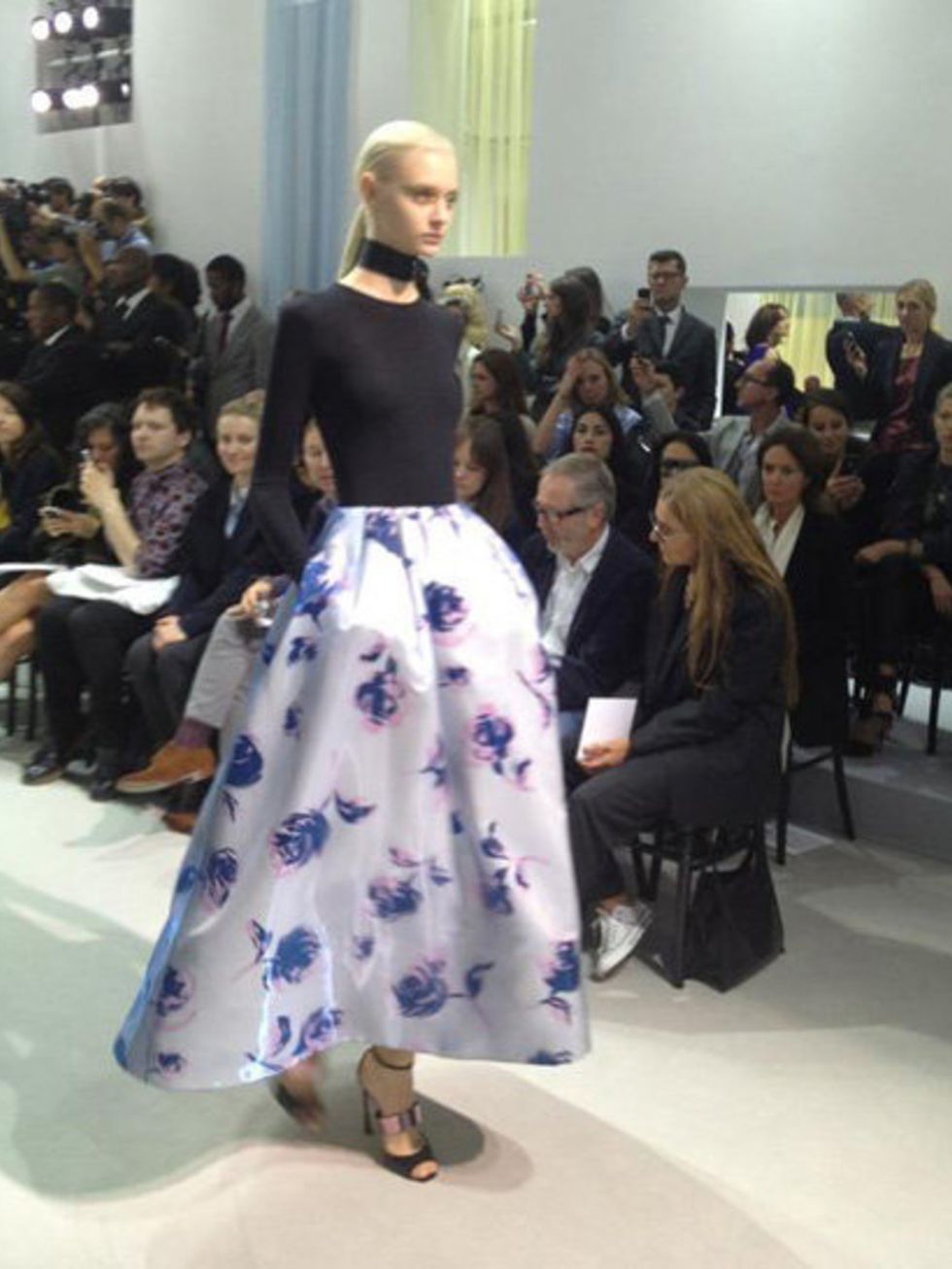 <p>Another look from Christian Dior Spring Summer 2013</p>