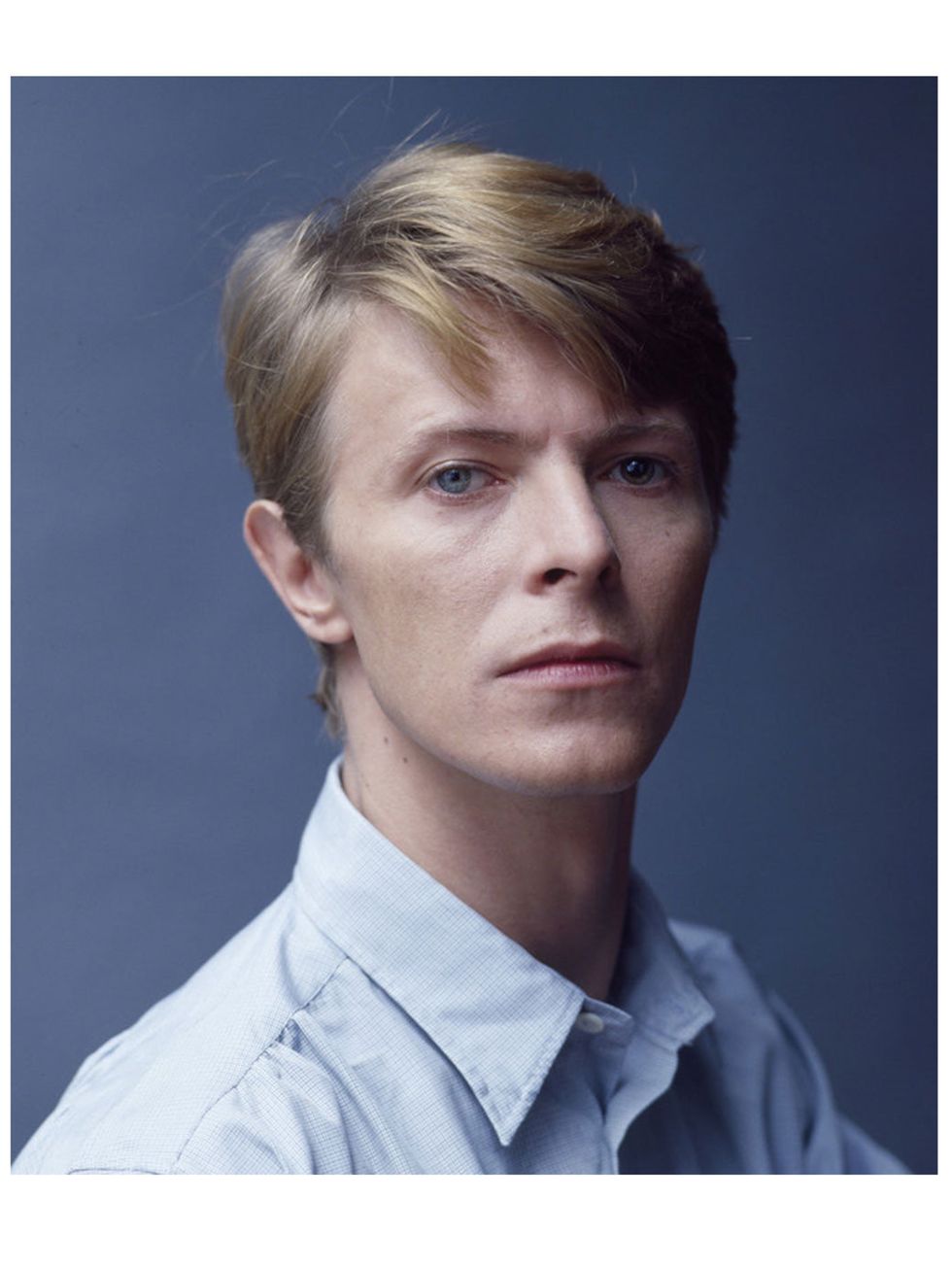 <p>David Bowie in Snowdon Blue</p>