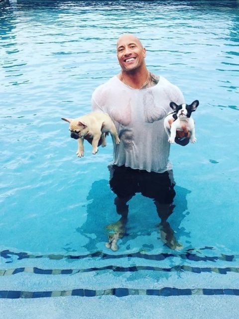 <p>Dwayne &#39;The Rock&#39; Johnson, take a bow. The wrestler-turned-actor&#39;s insta game is so strong, he&#39;s increased his following by 83% this year alone. He now has an admirable 34.3m followers...One for each of the muscles in his right arm.</p>