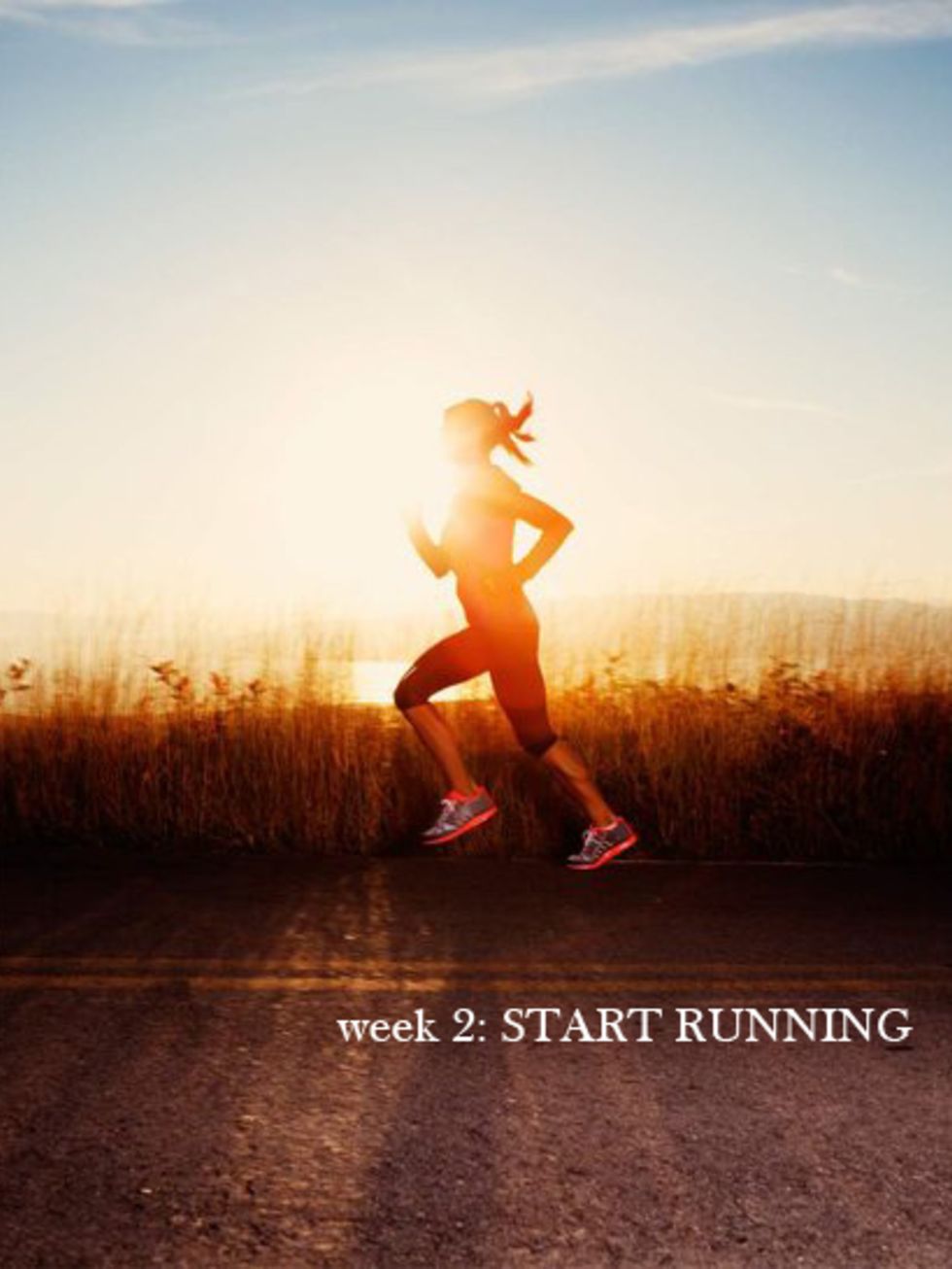 <p>This week you are ready to start running. See how the running panel are getting on...</p>