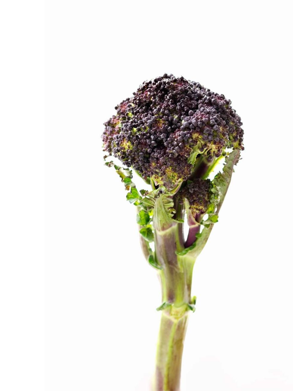 <p><strong>Purple sprouting broccoli: </strong>contains all the immune-enhancing nutrients that green broccoli has, but has a more earthy taste. Its a great source of fibre which slows down the release of glucose into the bloodstream, giving you more ene