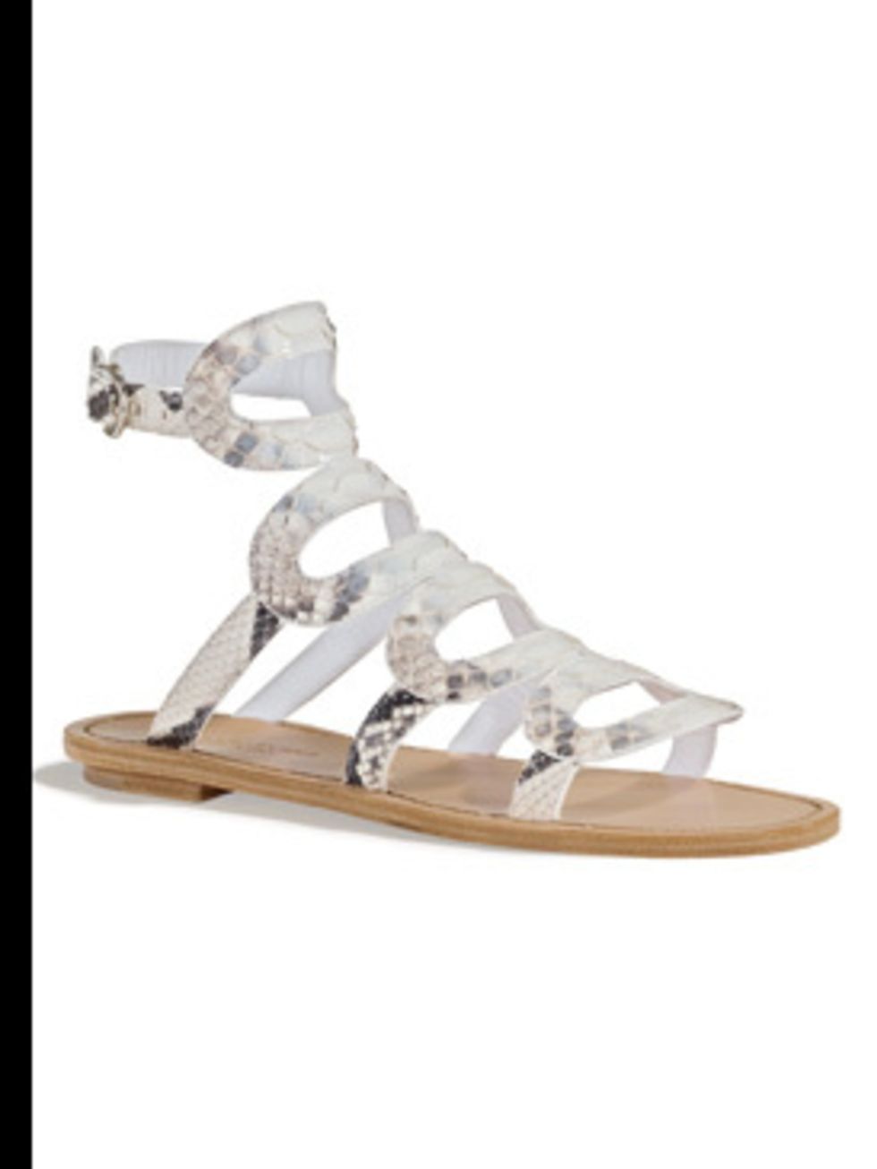 <p>Sandal, £480.00 by Segio Rossi. For stockists call 0207 811 5950</p>