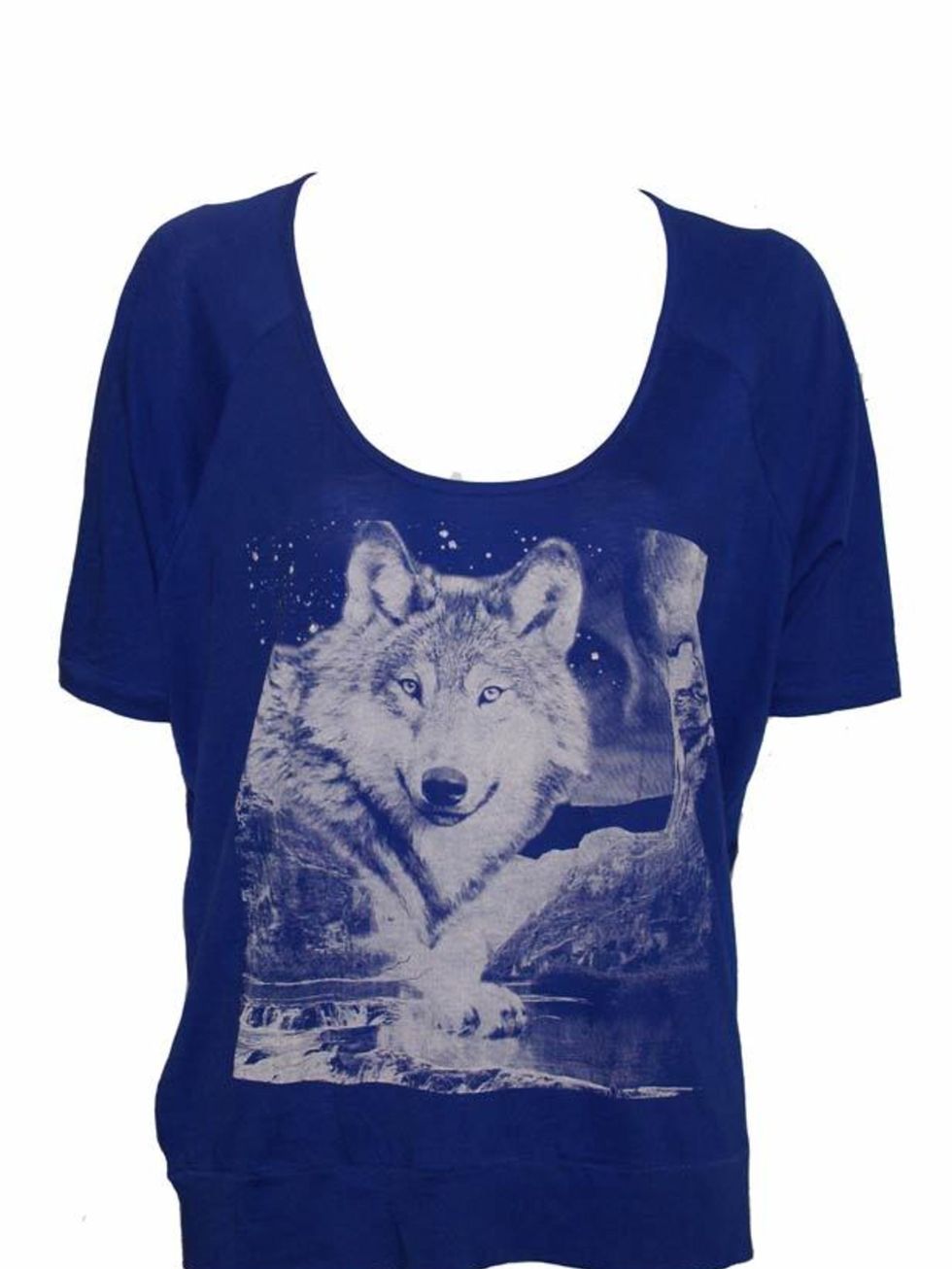 <p>Oversized wolf print tee, £59, by Simdog at <a href="http://www.o2oxygen.com/products/210/56/simdog_saphire_dolman_sleeve_tee/">Oxygen</a> </p>