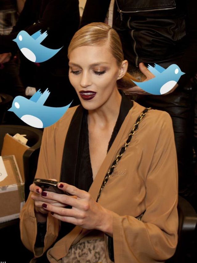 <p>Illustration of model with Twitter birds</p>