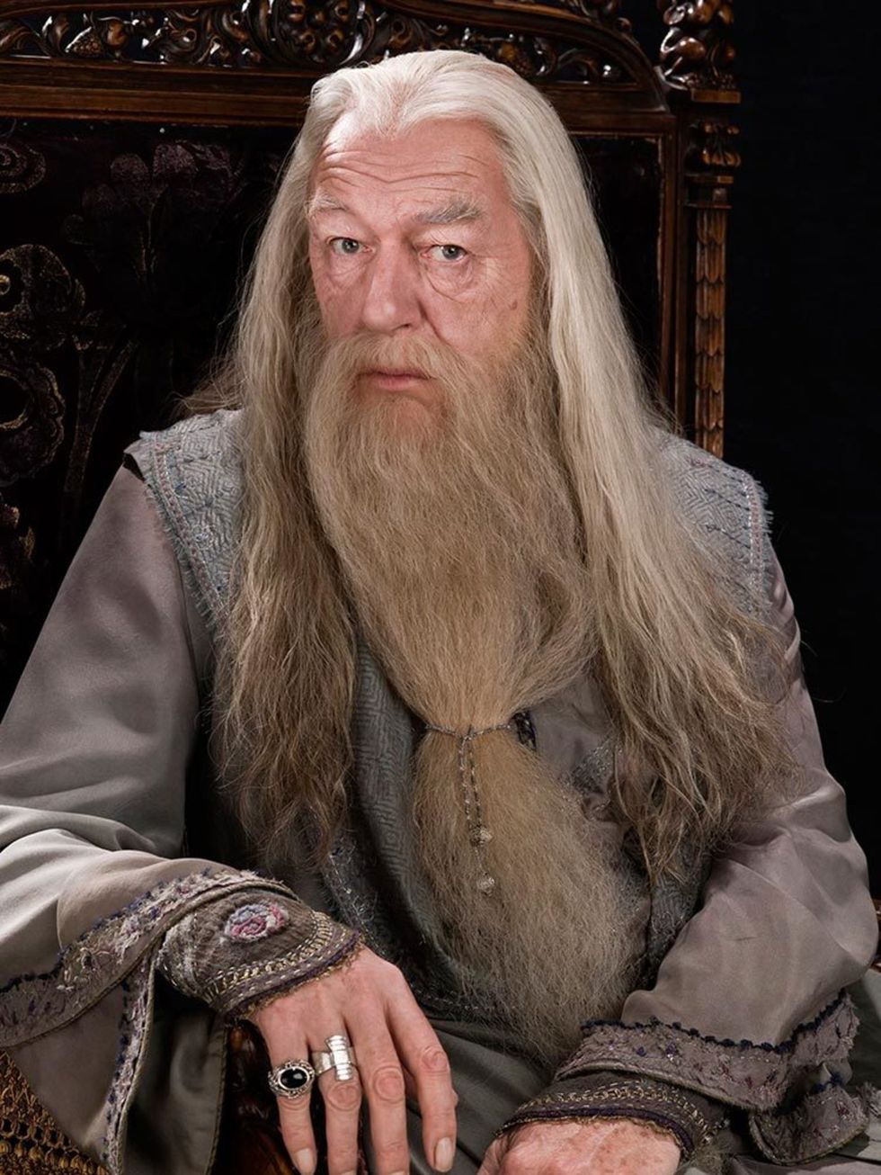 Albus Dumbledore played by Michael Gambon