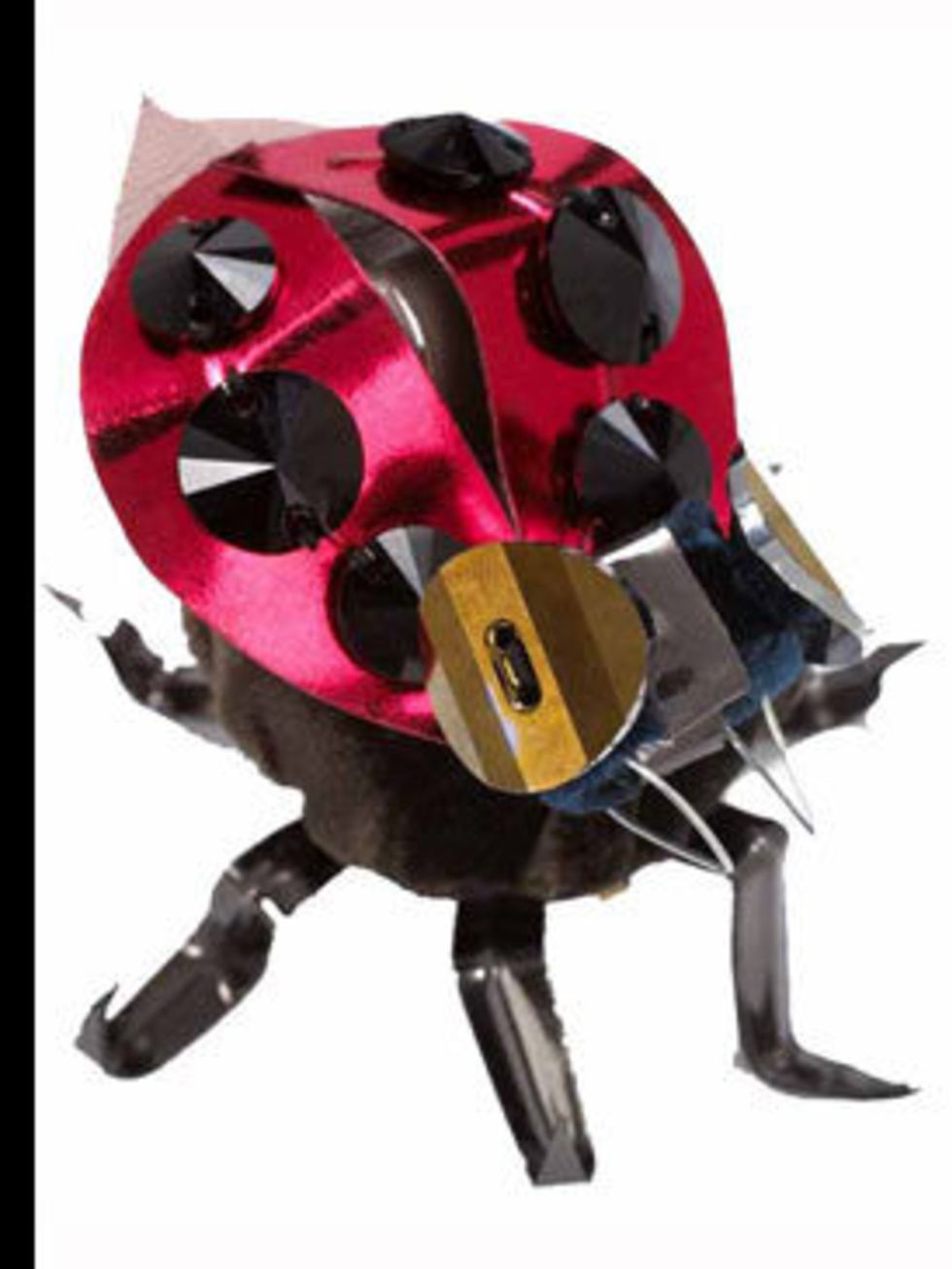 <p>Lady Bug, £105, by Miu Miu, for stockiest details call 020 7409 0900 </p>
