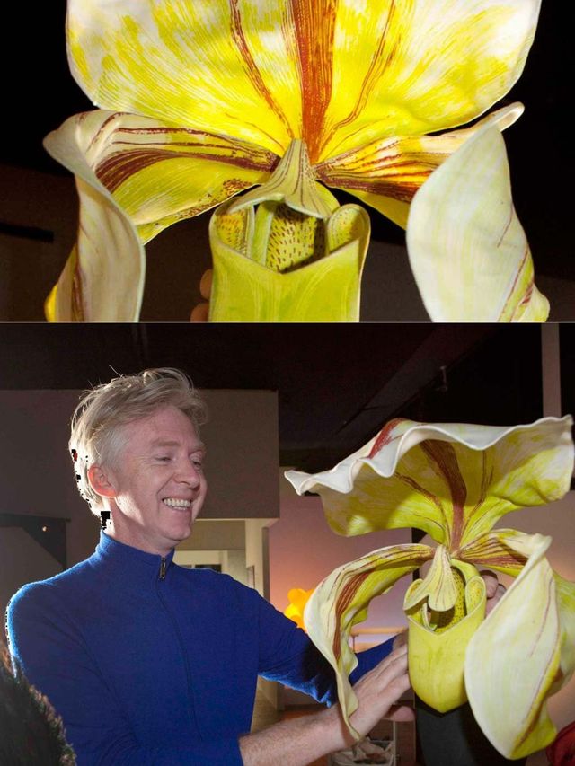 <p>Philip Treacy positions his Orchid hat at the V&amp;A</p>
