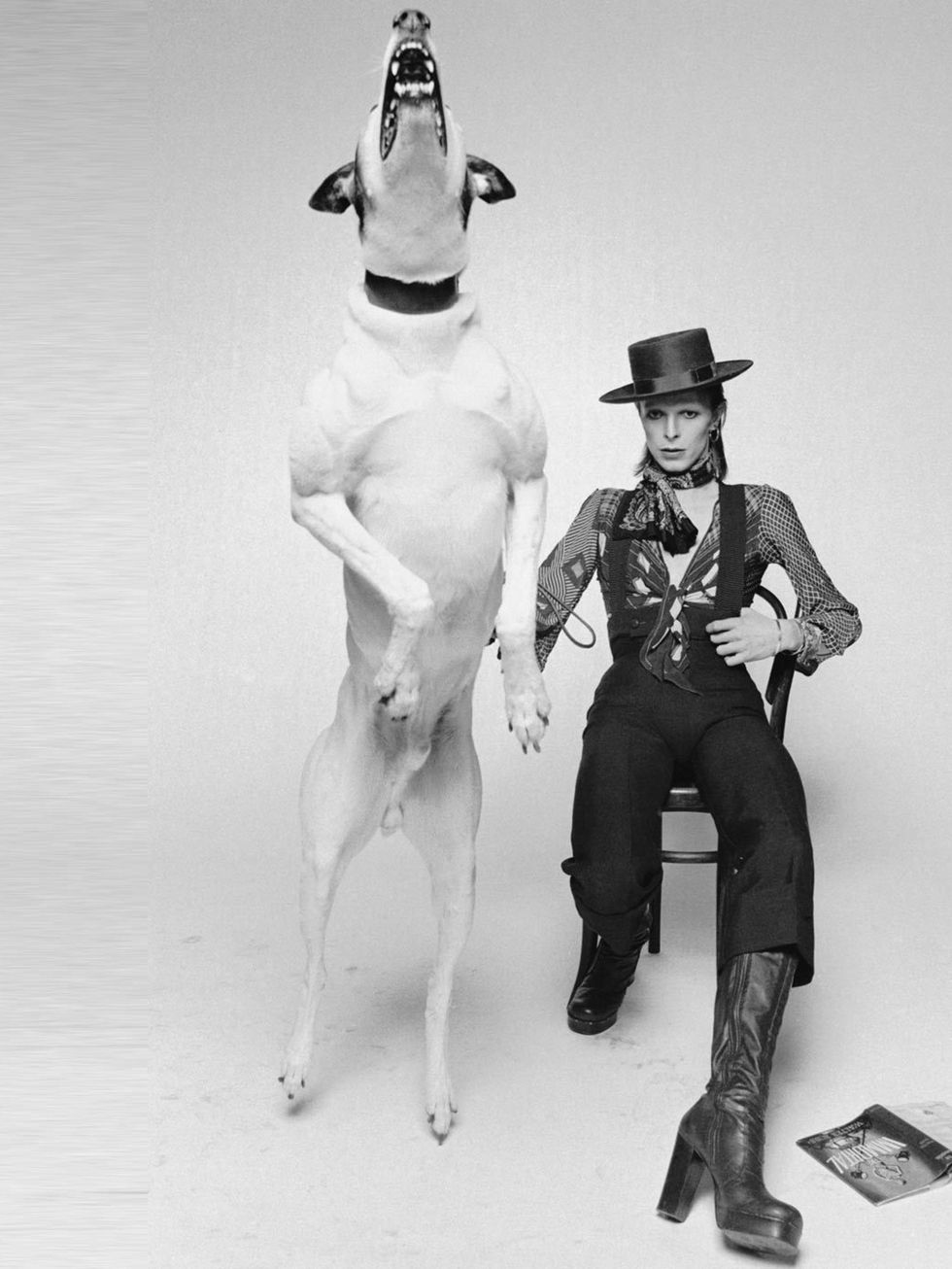 <p> The iconic photograph by Terry O'Neill for Bowies 1974 album artwork 'Diamond Dogs'</p>