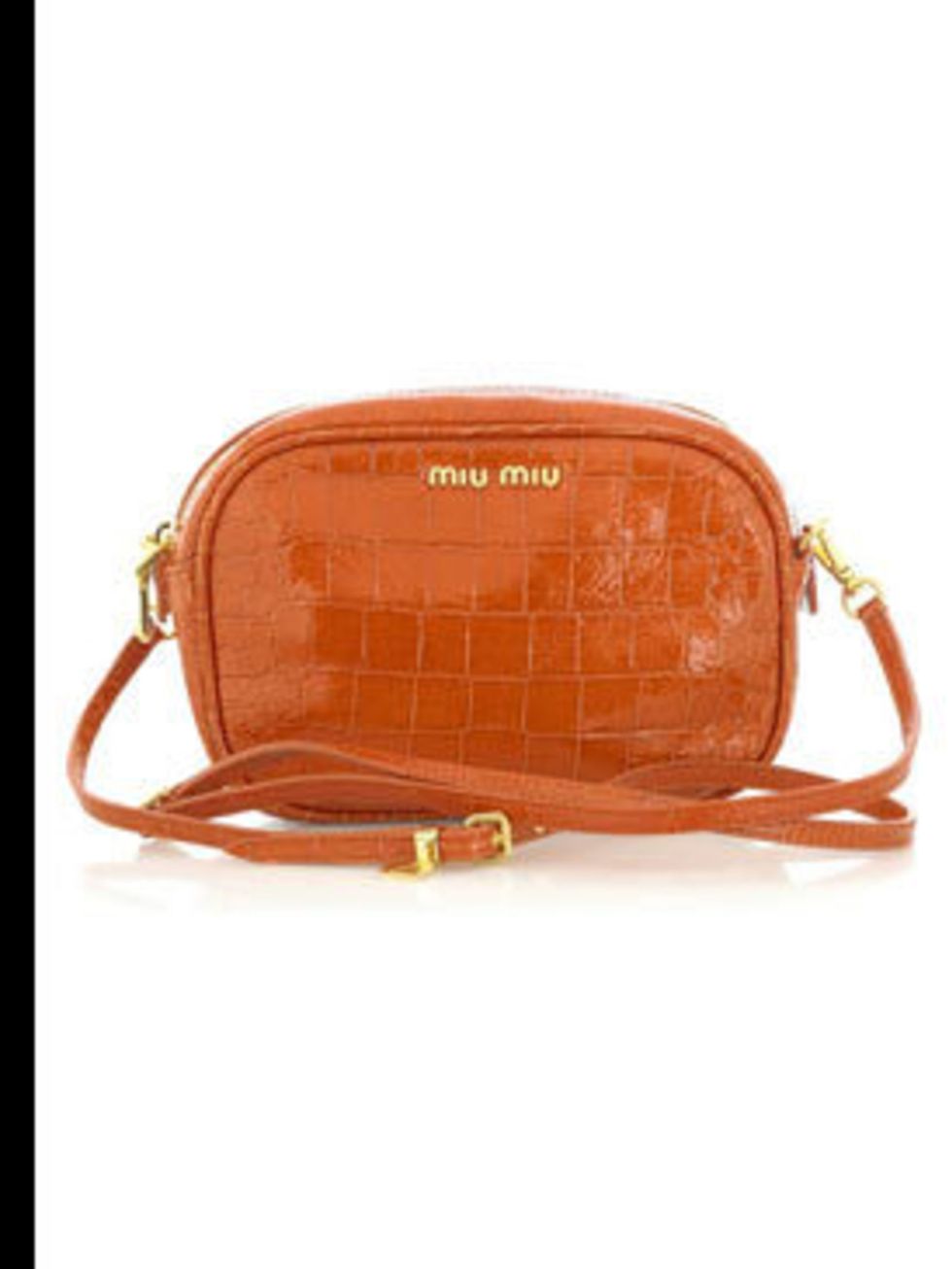<p>Leather clutch, £206 by Miu Miu at <a href="http://www.net-a-porter.com/product/38732">Net-a-Porter</a></p>