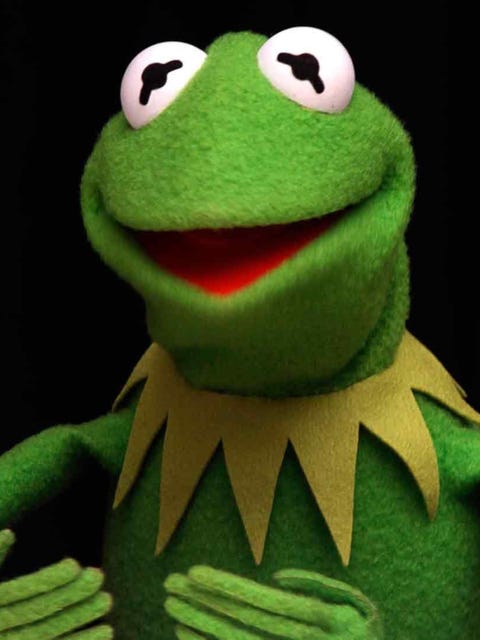 Kermit: ELLE Man of the Week | ELLE UK