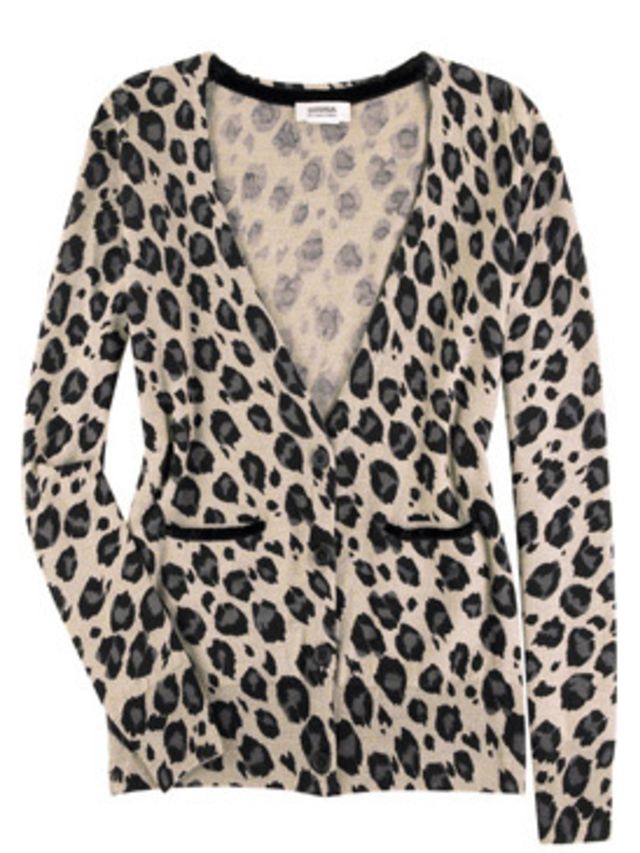 1287941734-instant-outfit-leopard