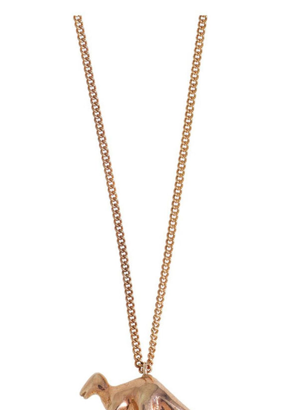 <p>A rose gold dinosaur necklace? Whats not to love? We want... Spanner and Wingnut rose gold necklace, £180, at <a href="http://www.kabiri.co.uk/jewellery-1/dinosaur-rose-gold-long-chain-necklace.html">Kabiri</a></p>
