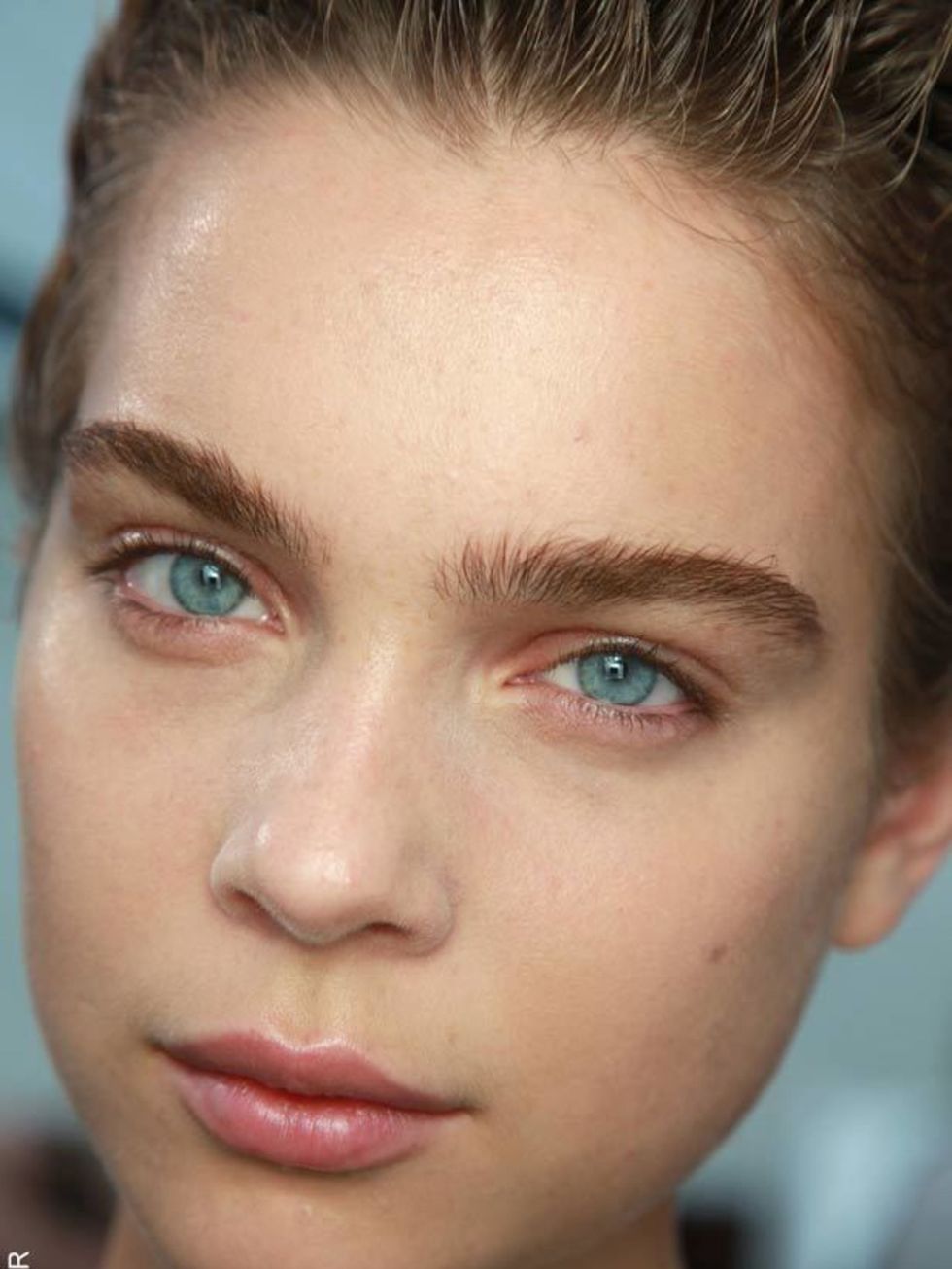 <p>Glossy, polished skin was the foundation of almost every make-up look this season, with make-up artists prepping skin meticulously before applying colour. At <a href="http://www.elleuk.com/catwalk/collections/alberta-ferretti/spring-summer-2010">Albert