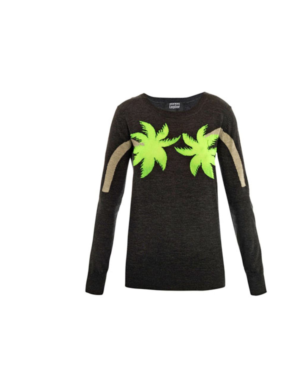 <p>Markus Lupfer neon palm tree jumper, £269, at Matches</p><p><a href="http://shopping.elleuk.com/browse?fts=markus+lupfer+palm+tree">BUY NOW</a></p>