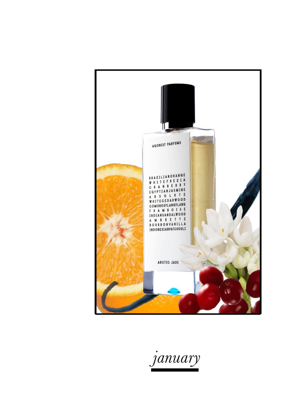 <p>This niche Swedish fragrance brand uses only 100% natural ingredients and Agonist is a welcome antidote to those icy, dark days in winter in bleak January. Brazilian Orange and Red Bilberries give you a much needed boost before Indian Sandalwood and Bo