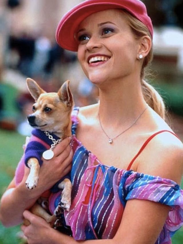 Reese Witherspoon is still perhaps best known for playing perky sorority-sister-turned-lawyer Elle Woods in Legally Blonde.