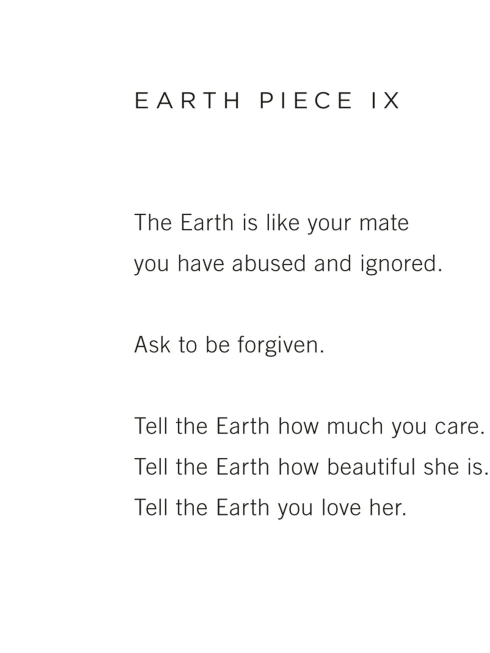 <p>EARTH PIECE IX</p>