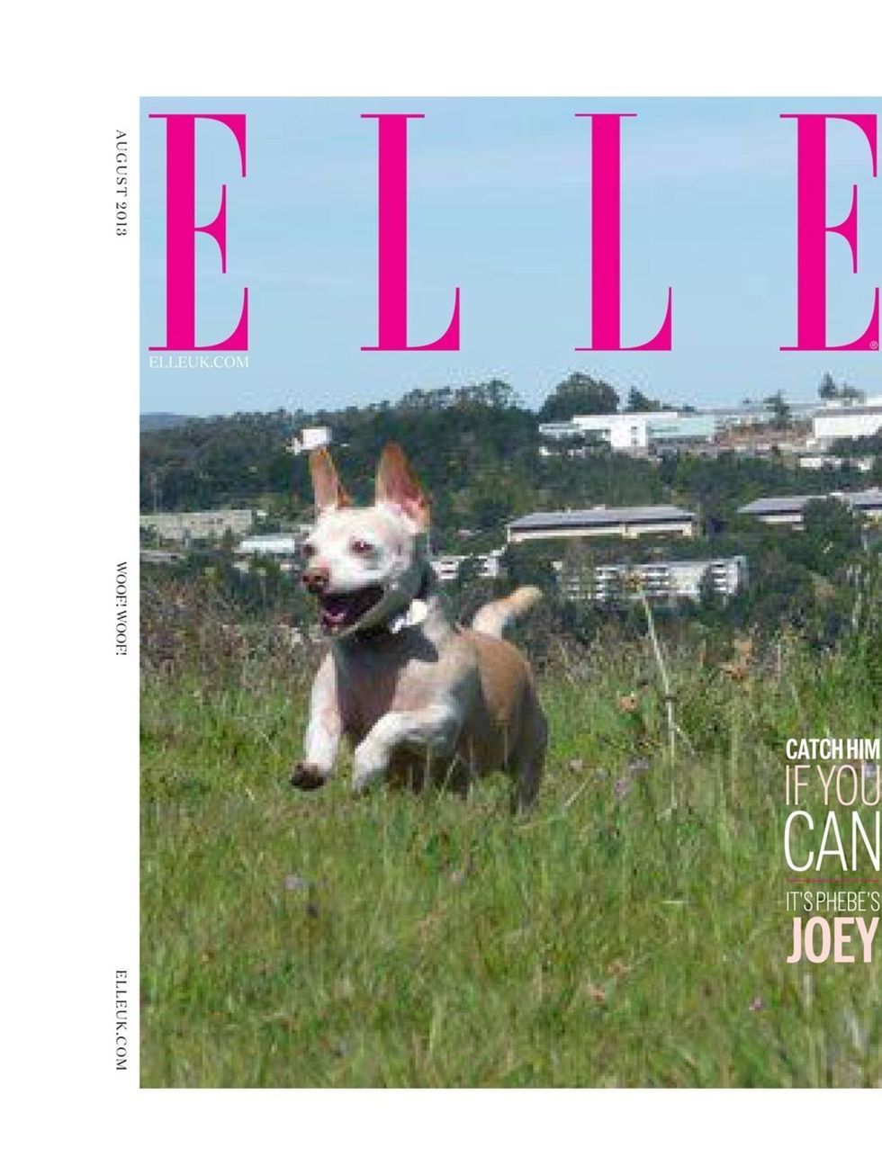 <p>'Catch him if you can: it's Phebe's Joey.'</p><p>Owner: Phebe Hunnicutt, digital director.</p><p><a href="http://www.elleuk.com/star-style/celebrity-fashion-trends/doggy-style-donatella-versace-alberta-ferretti-roberto-cavalli-roland-mouret-pixie-geldo