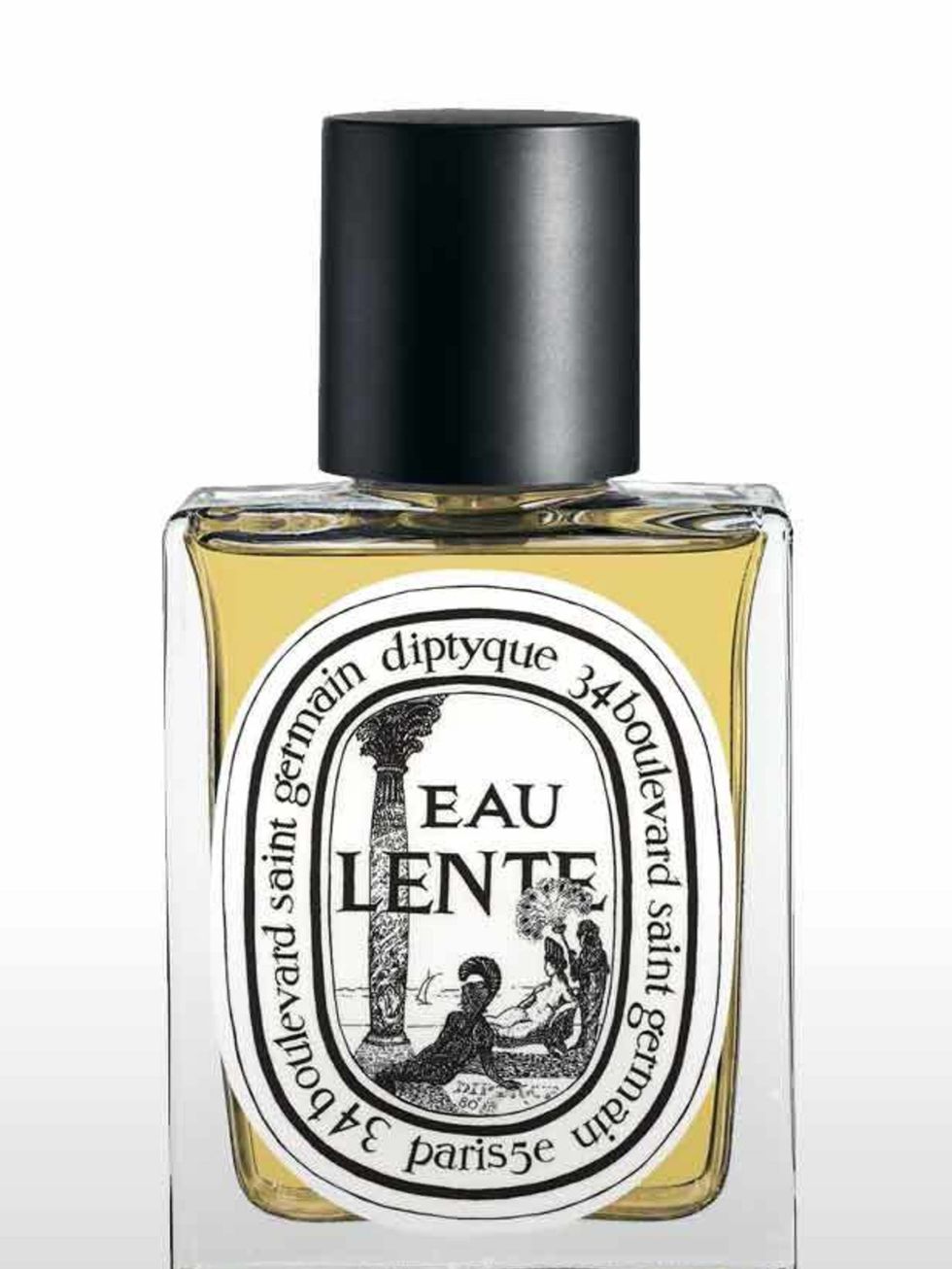 <p>Created in 1986 Eau Lente focuses on the opopanax ingredient, a resin from an Iranian tree. The opopanax has a hint of vanilla, which combined with cinnamon and a mix of Indian spices gives Eau Lente a hint of incense combined with a soft, sweetness.</