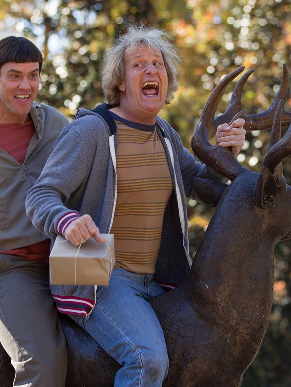 <p><strong>FILM: Dumb And Dumber To </strong></p>

<p>Out on Friday, the highly-anticipated sequel to the 1994 cult film, sees Jim Carrey and Jeff Daniels return as Lloyd and Harry. This installment sees the pair set out on a cross-country roadtrip in sea