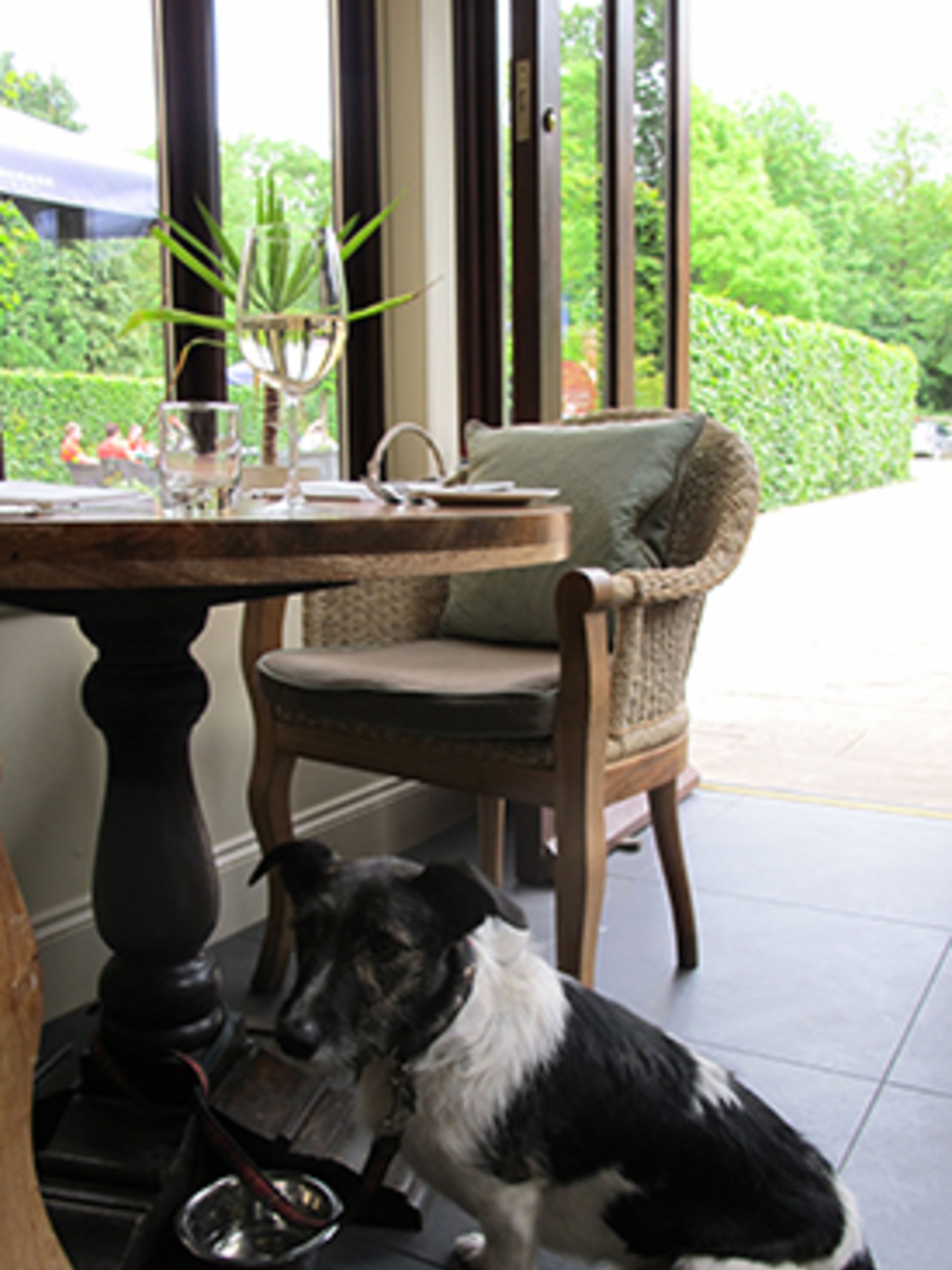5 Of The Best Dog Friendly Hotels