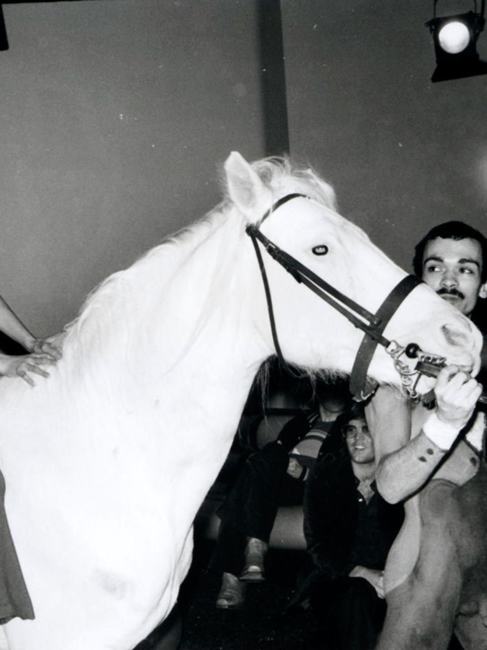 <p>Bianca Jagger celebrates her birthday on a white horse in Studio 54 NYC, 1977.</p>