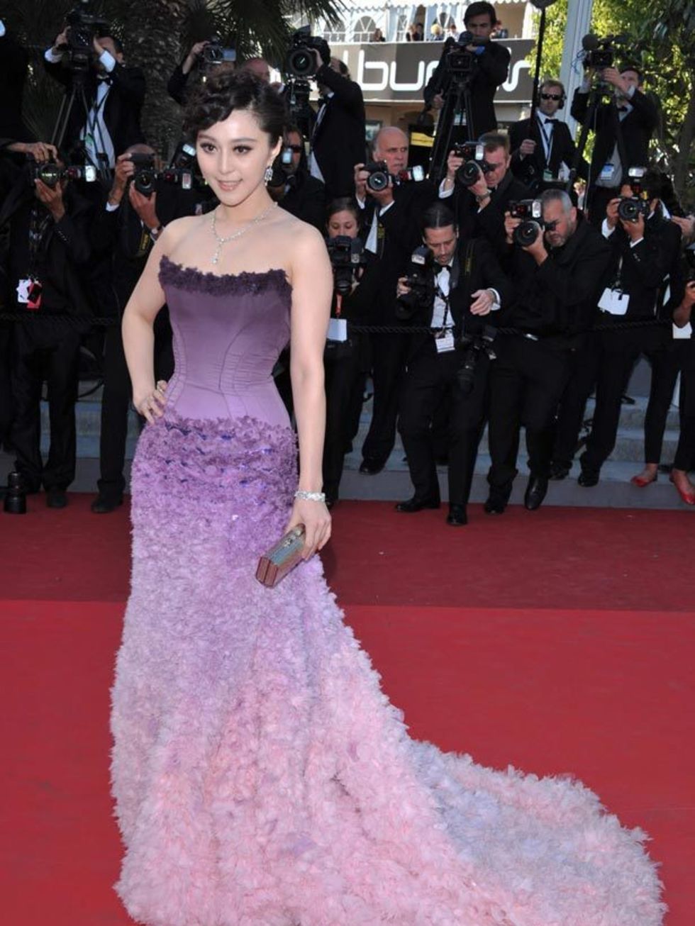 <p>Chinese model &amp; actress Fan Bingbing on the red carpet</p>